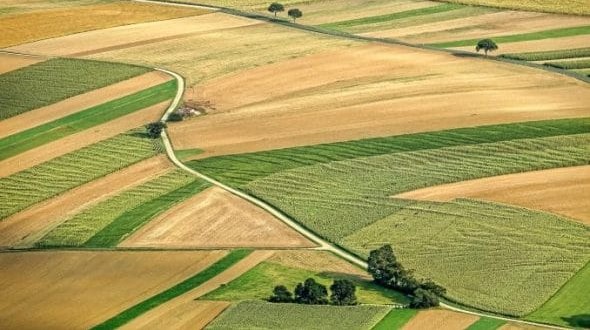 Piața funciară a UE: Hectarul de teren arabil a ajuns mai scump în România decât în Bulgaria și Franța