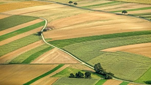 teren_agricol