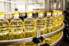 ulei-floarea-soarelui-fabrica