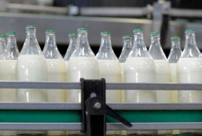 Criză pe piaţa laptelui ecologic din Franţa lapte-imbuteliat_b