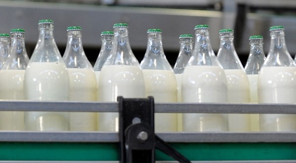 Criză pe piaţa laptelui ecologic din Franţa
