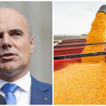 Europarlamentar român la Bruxelles: Fermierii români sunt pe marginea falimentului din cauza cerealelor ieftine din Ucraina