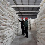 China: Grain Storage Inspection