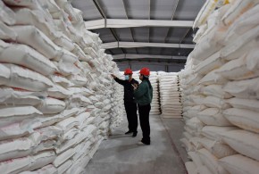 China: Grain Storage Inspection