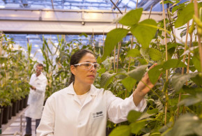 BASF propune soluții integrate inovatoare pentru a susține evoluția agriculturii BASF innovation pipeline in agricultural includes advancements in pipeline of crop protection, seeds and traits, and digital solutions, including an industry-leading weed-control pipeline.