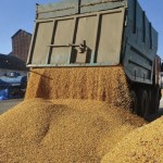 Republica Moldova vrea să impună restricții pentru cerealele ucrainene
