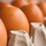 Republica Moldova a obținut dreptul să exporte în UE carne procesată de pasăre și ouă de consum
