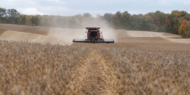 Prețurile grâului, soia și porumbului vor fi febrile și în 2023