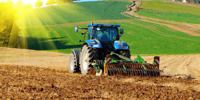 Oportunități pentru producătorii agricoli din R. Moldova