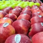 Exporturile de mere în martie au fost cu mult sub media pe cinci ani pentru această lună