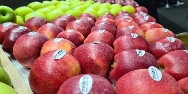Exportul de mere în ianuarie-februarie a crescut puțin, stocurile rămân enorme