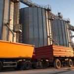 Traderul de produse agricole Louis Dreyfus Company a anunţat că va înceta exporturile de cereale din Rusia