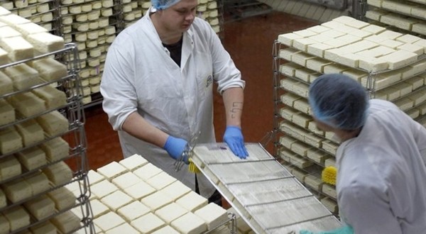 O familie a făcut o avere uriașă din fabricarea brânzeturilor!