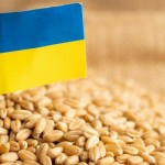 Cinci state, între care și România, cer Comisiei Europene să extindă interdicţia importurilor de alimente din Ucraina