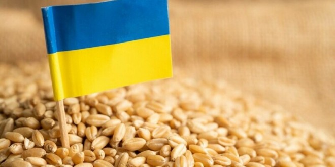 Cinci state, între care și România, cer Comisiei Europene să extindă interdicţia importurilor de alimente din Ucraina