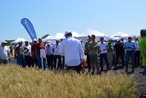 Seminar BASF despre protecția culturilor cerealiere și tehnice în condițiile anului 2023 seminar1