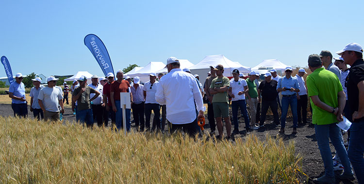 Seminar BASF despre protecția culturilor cerealiere și tehnice în condițiile anului 2023 seminar1