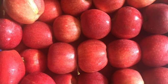 Pomicultorii moldoveni așteaptă oferte de preț mai înalte pentru merele Gala de înaltă calitate