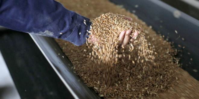 Polonia, Slovacia și Ungaria anunţă că vor continua să interzică importurile de cereale ucrainene după ce UE a ridicat restricţiile