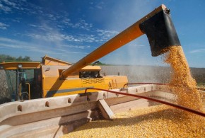 romania-fermieri-grau