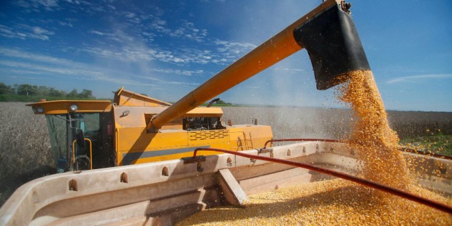 Producătorii agricoli și fermierii români cer guvernului Ciolacu interzicerea importului de cereale din Ucraina