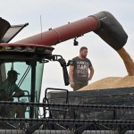 România regretă că Bruxelles-ul n-a mai prelungit interdicția de import a cerealelor din Ucraina și așteaptă din partea Kievului prezentarea uni plan privind controlul exportului de produse agricole