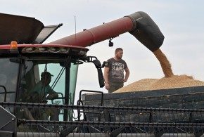 România regretă că Bruxelles-ul n-a mai prelungit interdicția de import a cerealelor din Ucraina și așteaptă din partea Kievului prezentarea uni plan privind controlul exportului de produse agricole romania-grau2