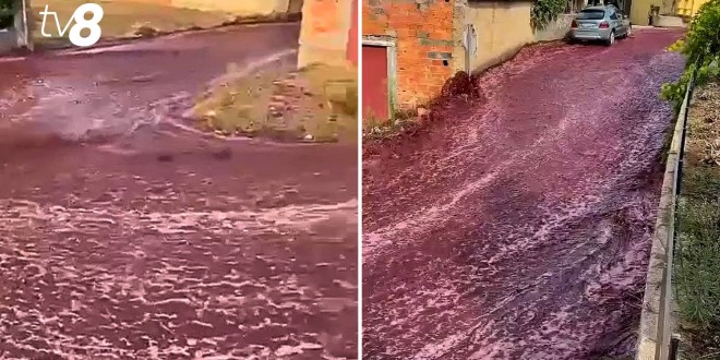 Potop de vin în Portugalia: Cum s-au transformat străzile în „râuri” roșii