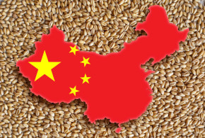 China face achiziții record de grâu și și-a rezervat milioane de tone din Australia și Franța china