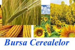 bursa-agricol