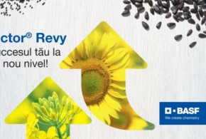 pictor-revy-basf-640×360-2