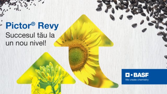 pictor-revy-basf-640×360-2