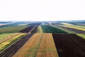teren-agricol
