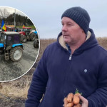 Un agricultor stă de patru luni cu morcovii pe deal: O să dau faliment