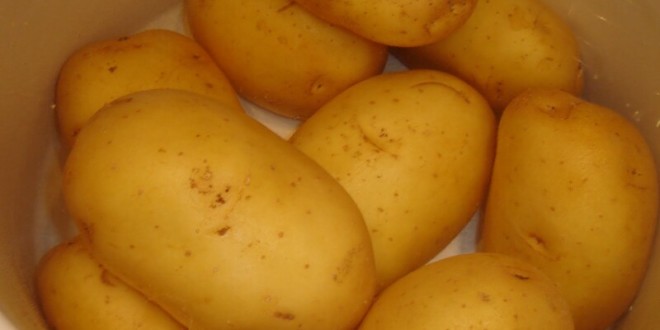 Peste 90% din exporturile de cartofi ucraineni se efectuează în Republica Moldova