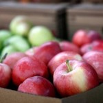 Câte mere au rămas în frigiderele din Moldova spre vânzare în perioada iarna-primăvara?