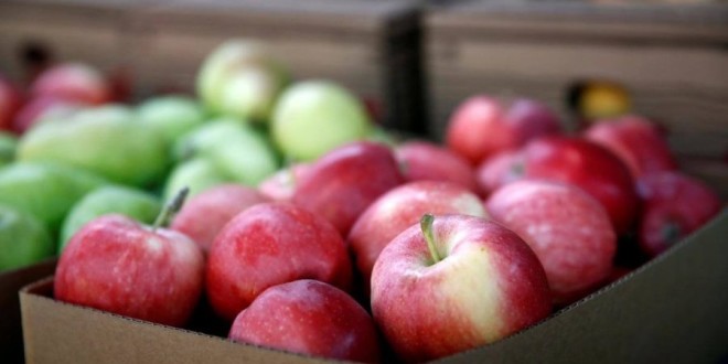 Câte mere au rămas în frigiderele din Moldova spre vânzare în perioada iarna-primăvara?