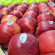 Exporturile moldovenești de mere în ianuarie s-au dublat comparativ cu decembrie