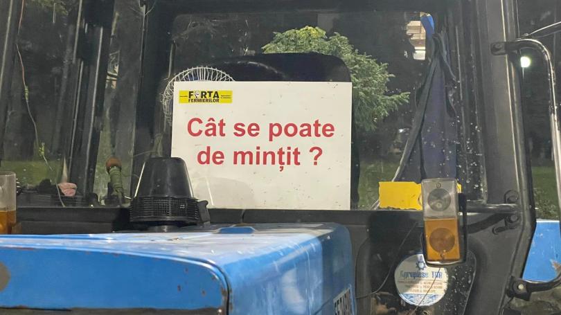 protest-mintit