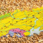 cereale-ucraina-1