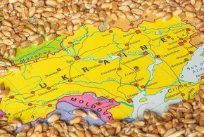 cereale-ucraina-1