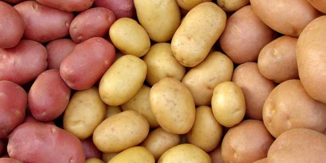 Cum s-au schimbat prețurile la cartofi în Moldova? Cum influențează importul din Belarus prețurile la cartofi și logistica merelor?