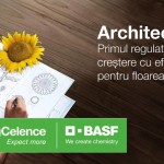 Architect – beneficii de neegalat pentru culturi de floarea-soarelui de cea mai bună calitate