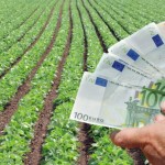 Cum pierde competitivitatea agricultura autohtonă din cauza prețului ridicat al arendei terenurilor?