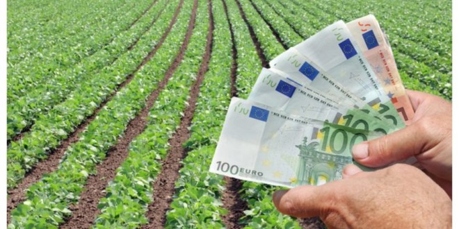 Cum pierde competitivitatea agricultura autohtonă din cauza prețului ridicat al arendei terenurilor?