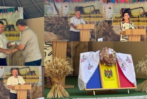 La Soroca s-a făcut bilanțul recoltării culturilor de I grupă. Ce rezultate s-au obținut? soroca